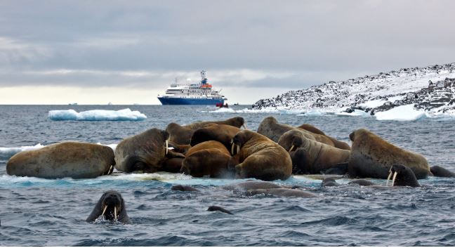 Franz Josef Land Russia